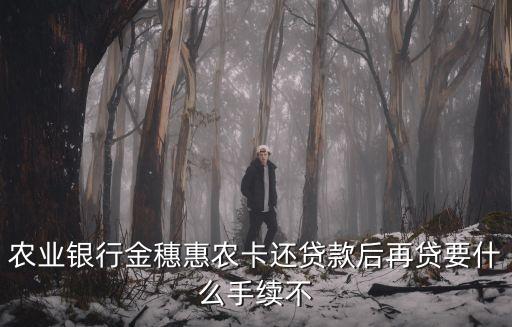 農(nóng)業(yè)銀行金穗惠農(nóng)卡還貸款后再貸要什么手續(xù)不