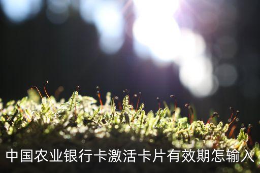 卡片有效期怎么，信用卡有效期怎么填寫