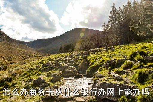 惠商卡怎么辦理，怎么辦商務(wù)卡從什么銀行辦網(wǎng)上能辦嗎