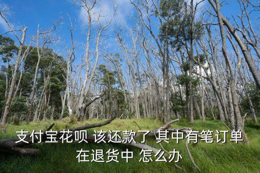 螞蟻花唄有退貨怎么辦，淘寶里用螞蟻花唄付了款要退貨怎么辦