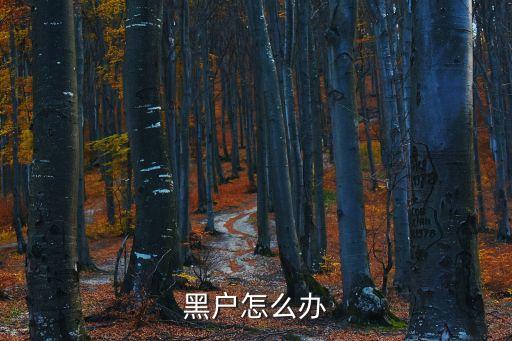 黑戶怎么辦