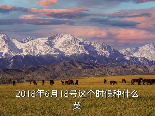 農(nóng)行必勝客怎么用，農(nóng)行信用卡周六必勝客滿100免20還可以再用學(xué)生證打8折嗎  問