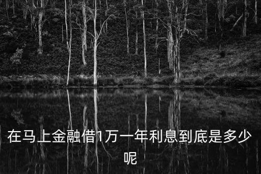 在馬上金融借1萬一年利息到底是多少呢