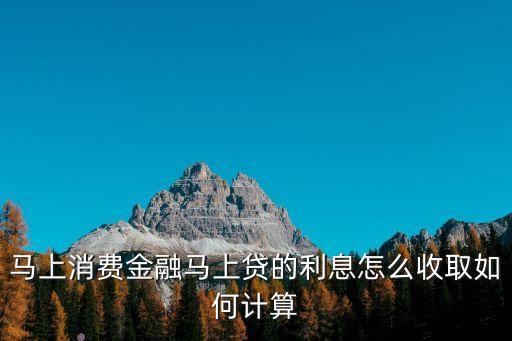 馬上消費(fèi)金融利息怎么算，在馬上金融借1萬一年利息到底是多少呢