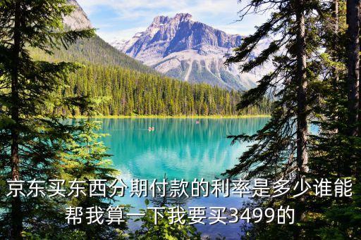 京東買東西分期付款的利率是多少誰能幫我算一下我要買3499的