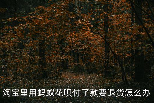 淘寶里用螞蟻花唄付了款要退貨怎么辦