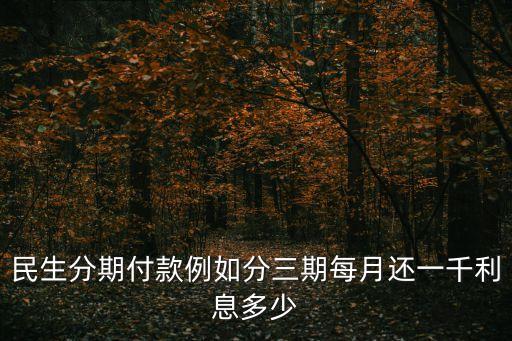 民生分期付款例如分三期每月還一千利息多少