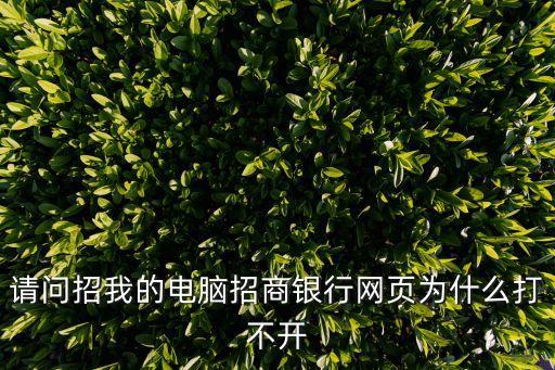 請問招我的電腦招商銀行網(wǎng)頁為什么打不開