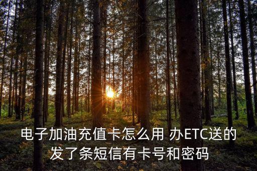 電子加油充值卡怎么用 辦ETC送的 發(fā)了條短信有卡號(hào)和密碼