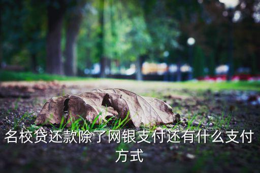 名校貸還款除了網(wǎng)銀支付還有什么支付方式