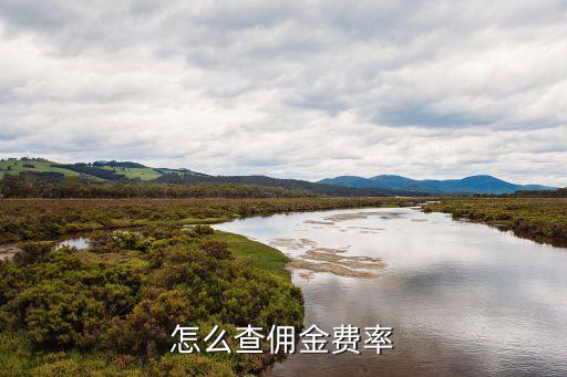 期貨怎么看傭金，各大期貨公司手續(xù)費(fèi)在哪里能查看
