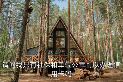 單位給員工上社保怎么辦理信用卡，請問我只有社保和單位公章可以辦理信用卡嗎