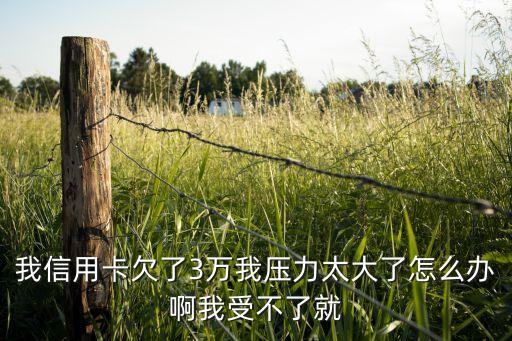 我信用卡欠了3萬我壓力太大了怎么辦啊我受不了就