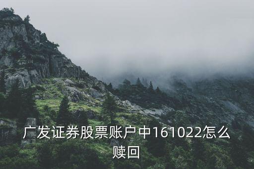廣發(fā)證券股票賬戶中161022怎么贖回