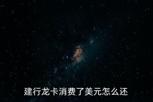 建行龍卡消費(fèi)了美元怎么還