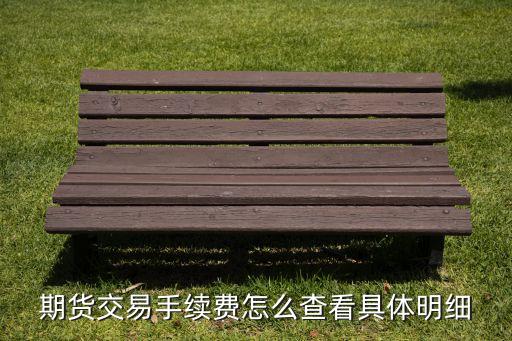 期貨交易手續(xù)費(fèi)怎么查看具體明細(xì)