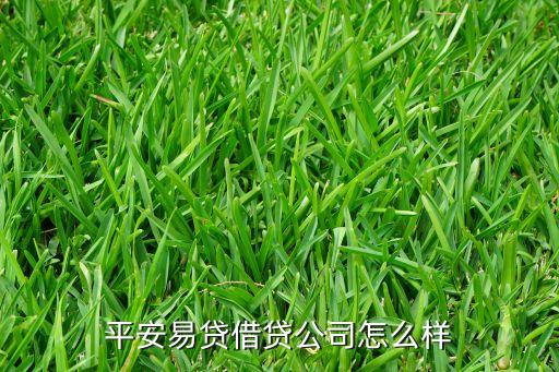平安易貸借貸公司怎么樣