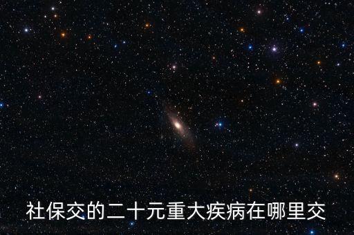 社保交的二十元重大疾病在哪里交