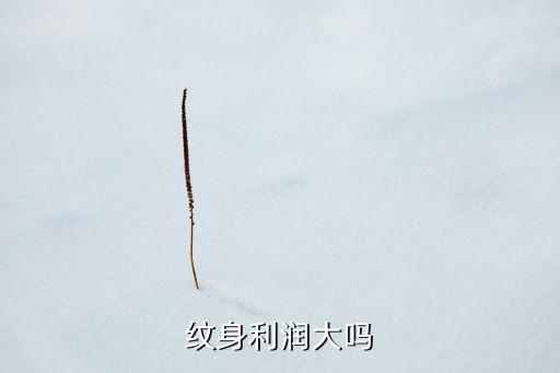 紋身利潤怎么樣，紋身賺錢嗎