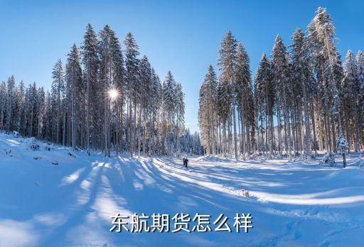 東航期貨待遇怎么樣，東航期貨怎么樣
