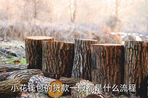 小資錢包怎么貸款，怎么辦理小額貸款