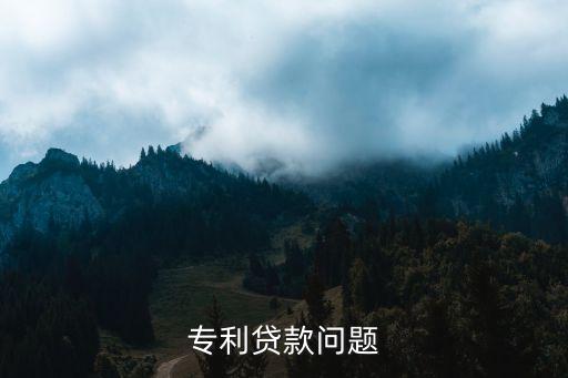 專利貸款問題