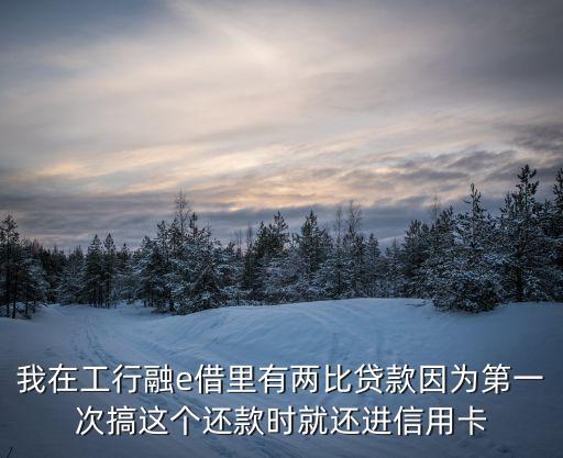 我在工行融e借里有兩比貸款因?yàn)榈谝淮胃氵@個(gè)還款時(shí)就還進(jìn)信用卡