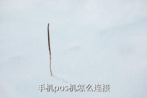 手機(jī)pos機(jī)怎么連接