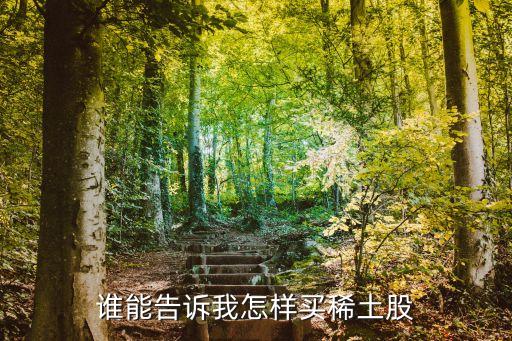 稀土 怎么投資，誰(shuí)能告訴我怎樣買(mǎi)稀土股