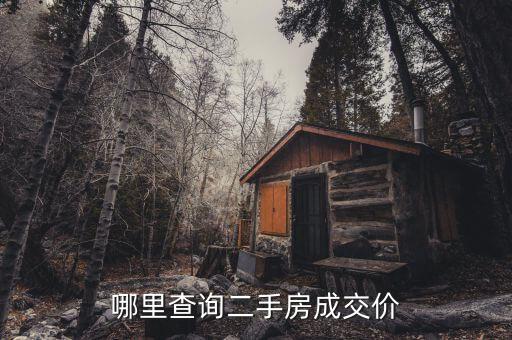 哪里查詢二手房成交價