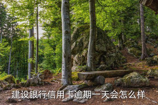 建行信用卡拖欠一天會(huì)怎么樣，信用卡的問(wèn)題的還款日期了我晚還一天會(huì)怎么樣啊