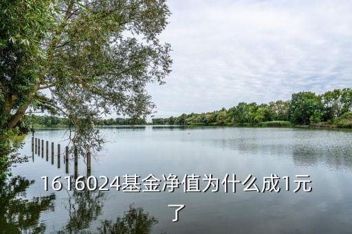 164402基金怎么了，這只基金是怎么了今天漲幅一直都沒(méi)變過(guò)到底是賺了還是賠了