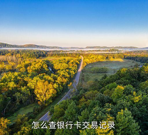 怎么上網(wǎng)查銀行卡支出記錄，如何查詢銀行消費記錄