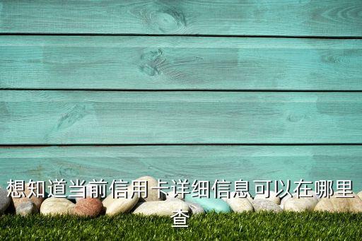 想知道當(dāng)前信用卡詳細(xì)信息可以在哪里查