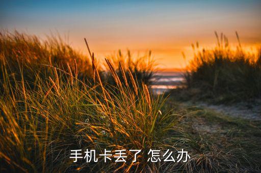 手機(jī)卡丟了 怎么辦