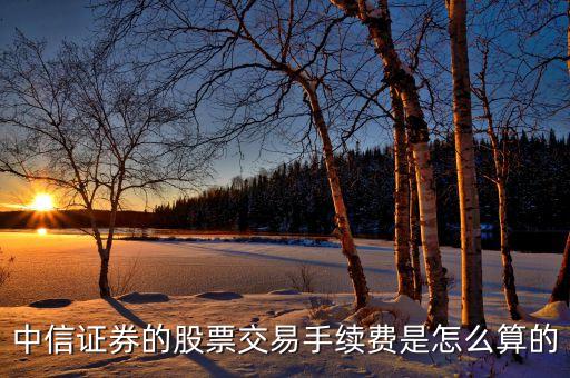 中信證券炒股的手續(xù)費怎么算，中信證券的股票交易手續(xù)費是怎么算的