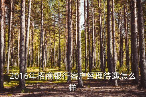 2016年招商銀行客戶(hù)經(jīng)理待遇怎么樣