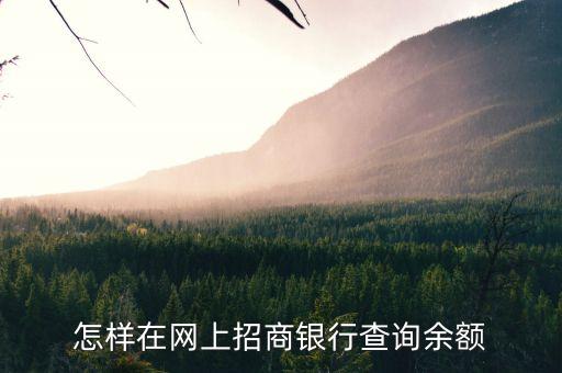 怎樣在網(wǎng)上招商銀行查詢余額