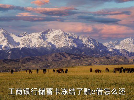 工商銀行儲(chǔ)蓄卡凍結(jié)了融e借怎么還