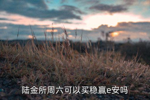 陸金所周六可以買穩(wěn)贏e安嗎
