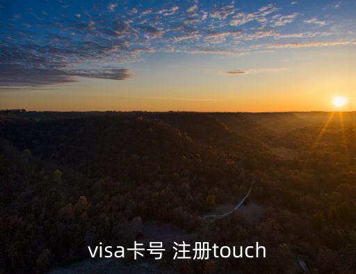 visa怎么注冊，VISA怎樣才辦得到