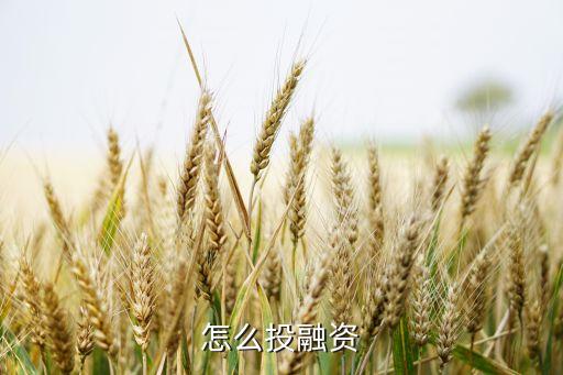 上海前融投資怎么投，p2p投資怎么投投資哪個(gè)更好啊