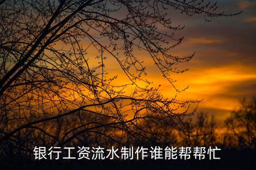 銀行工資流水制作誰能幫幫忙