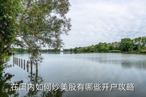 在國內(nèi)如何炒美股有哪些開戶攻略
