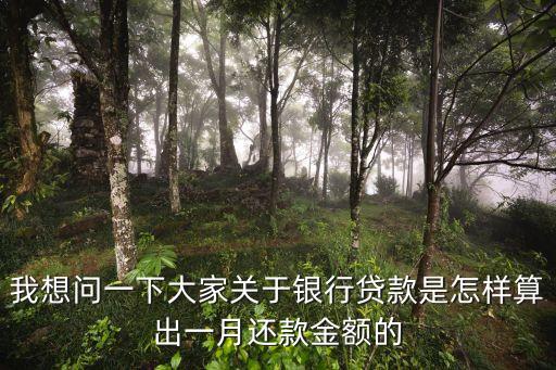 我想問一下大家關(guān)于銀行貸款是怎樣算出一月還款金額的