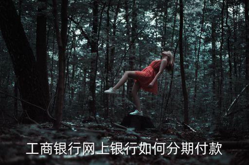 工商銀行網(wǎng)上銀行如何分期付款