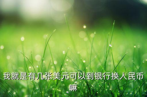 怎么用美金買人民幣，我就是有幾張美元可以到銀行換人民幣嘛