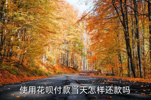 使用花唄付款當(dāng)天怎樣還款嗎