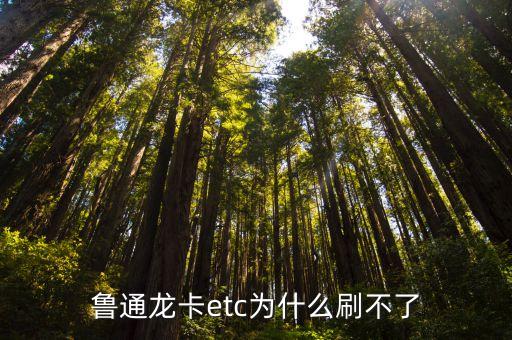 魯通龍卡etc為什么刷不了