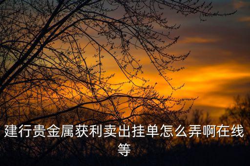 建行貴金屬獲利賣出掛單怎么弄啊在線等